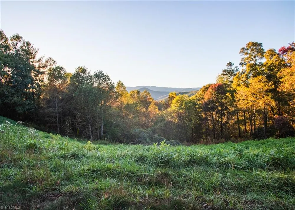 TBD Lot 17 Chestnut Falls Drive Millers Creek, NC 28651