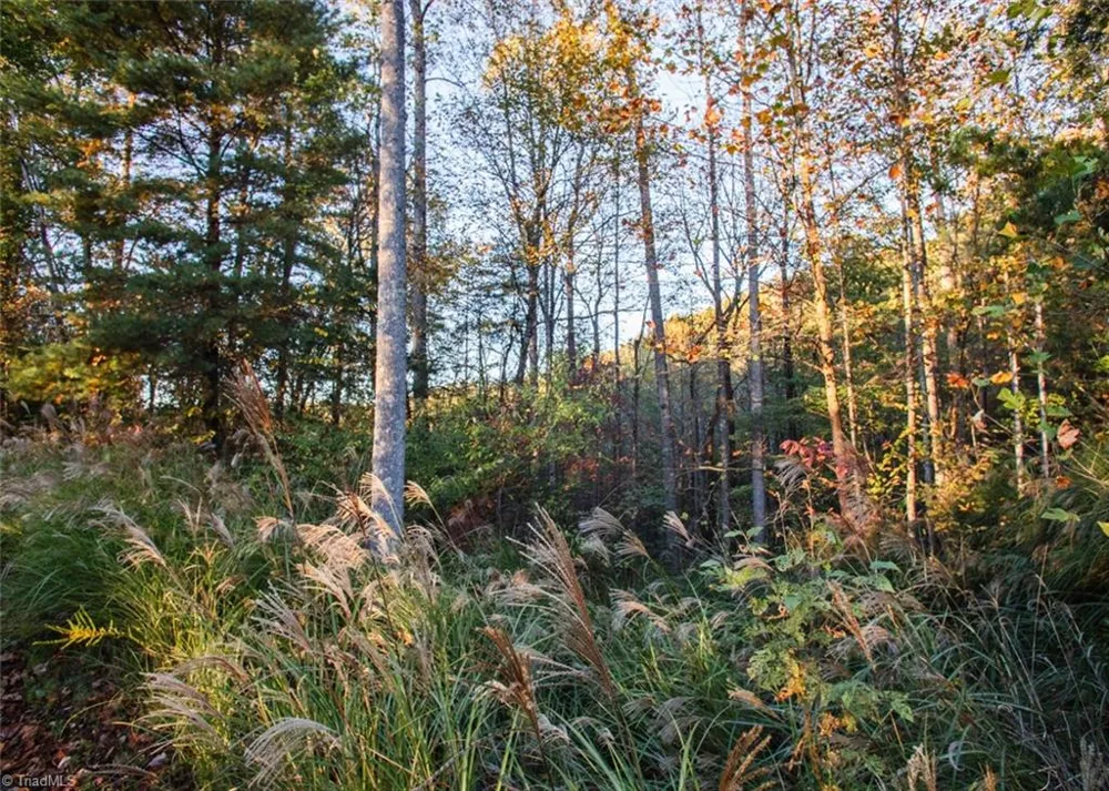 TBD Lot 17 Chestnut Falls Drive Millers Creek, NC 28651