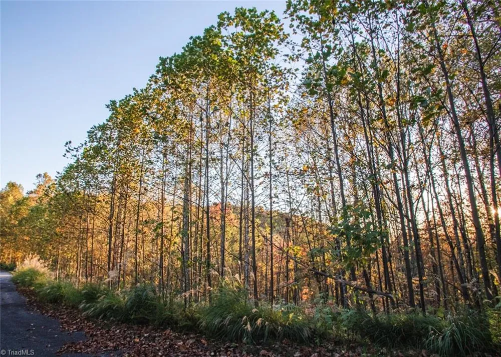 TBD Lot 17 Chestnut Falls Drive Millers Creek, NC 28651