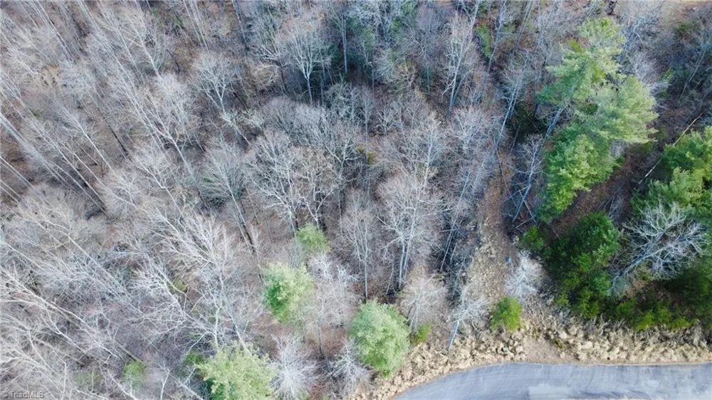 TBD Lot 17 Chestnut Falls Drive Millers Creek, NC 28651