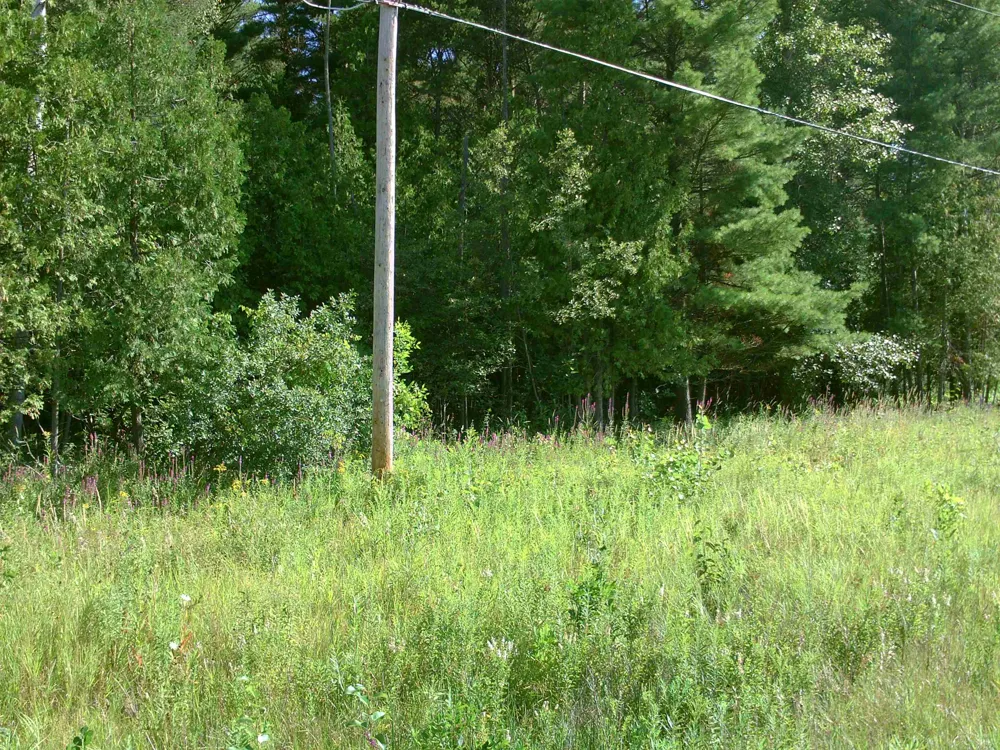 M-55 Tawas Township, MI 48763