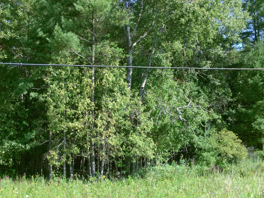 M-55 Tawas Township, MI 48763