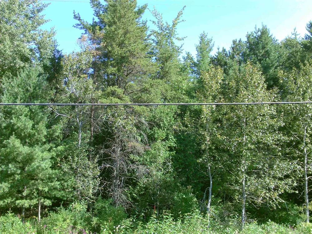 M-55 Tawas Township, MI 48763
