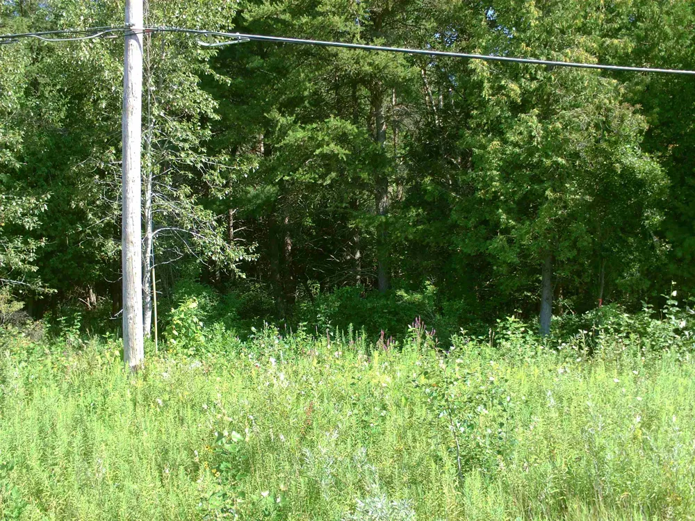 M-55 Tawas Township, MI 48763