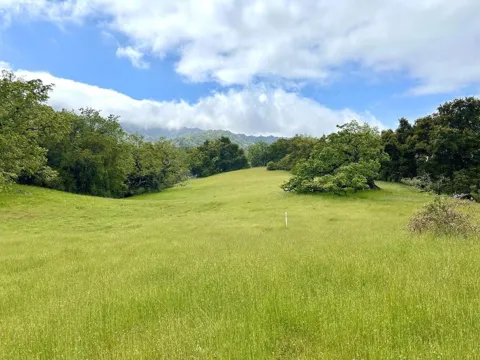 29 Arroyo Sequoia