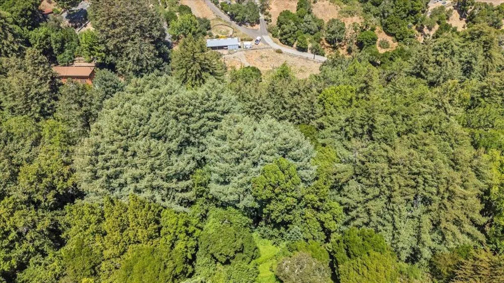 115 Edison Way Soquel, CA 95073