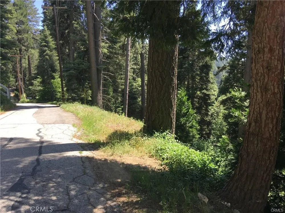 Lake Drive Lake Arrowhead, CA 92352