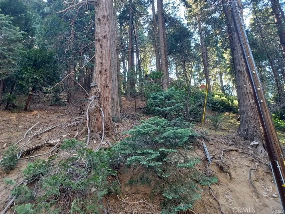 Lake Drive Lake Arrowhead, CA 92352