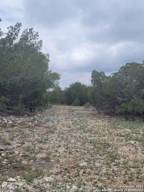 LOT 5 Hwy 377 Rocksprings, TX 78880