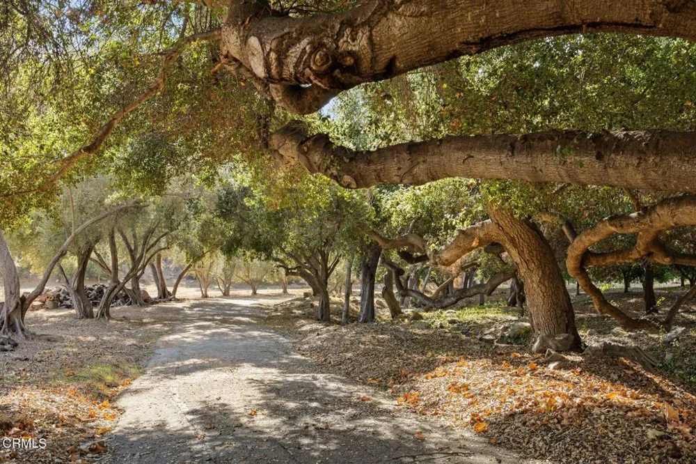 2250 Hermitage Road Ojai, CA 93023