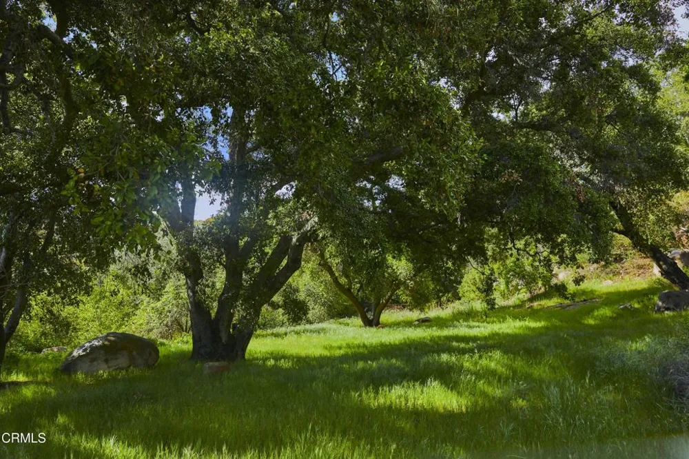 12179 Koenigstein Road Santa Paula, CA 93060