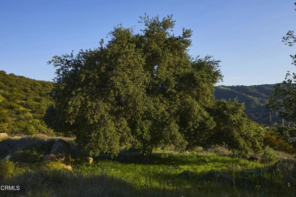 12179 Koenigstein Road Santa Paula, CA 93060