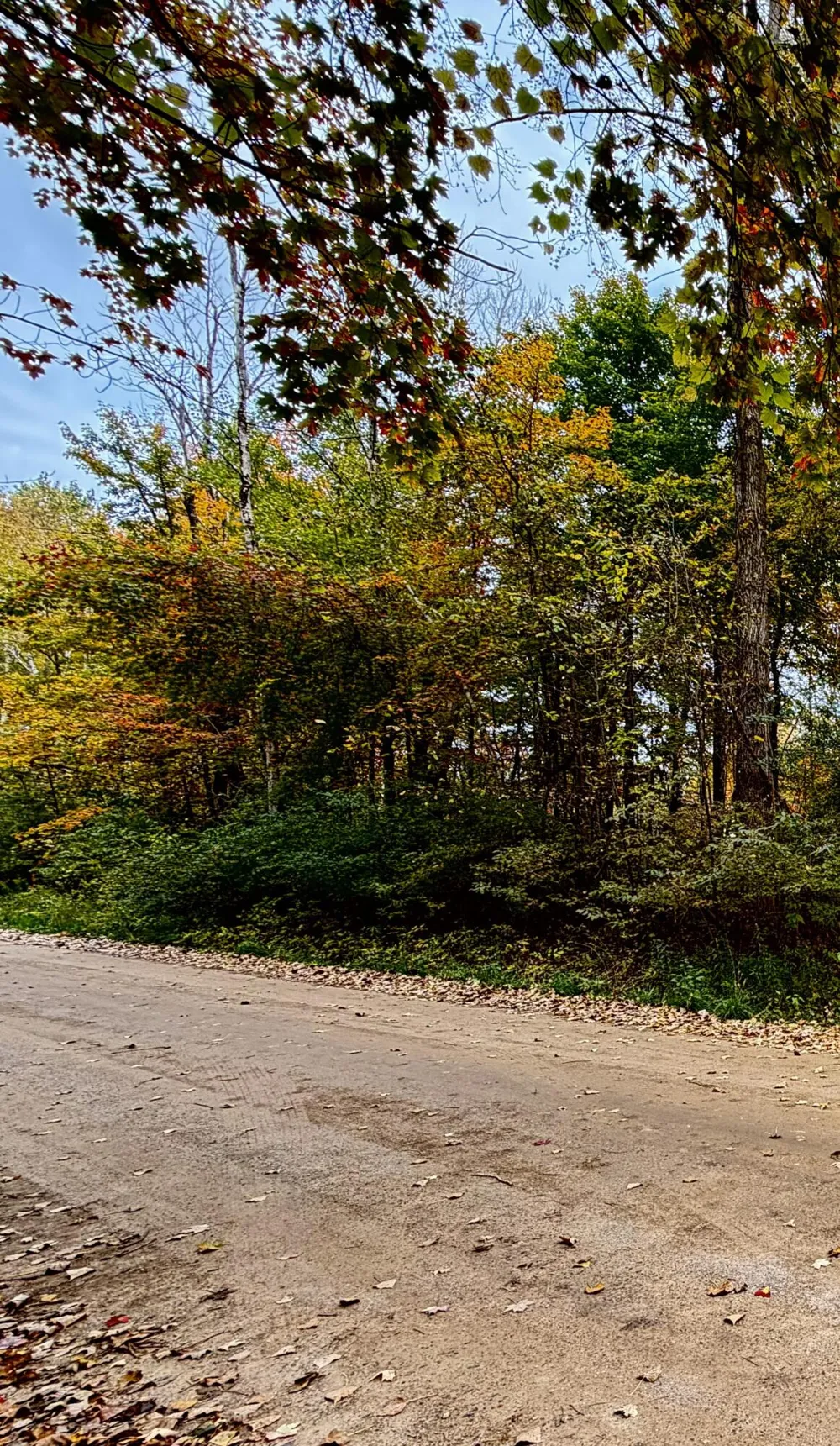 302 Hilcrest/Helen DR. Mayville, MI 48744
