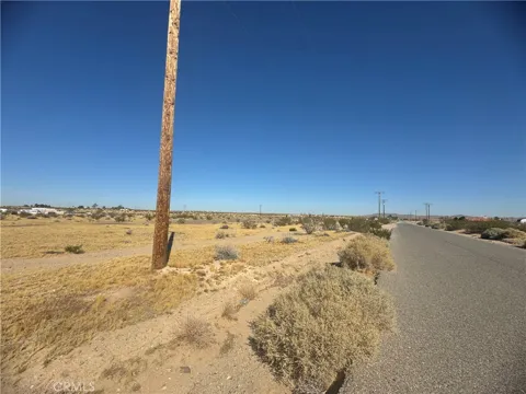 Rodeo