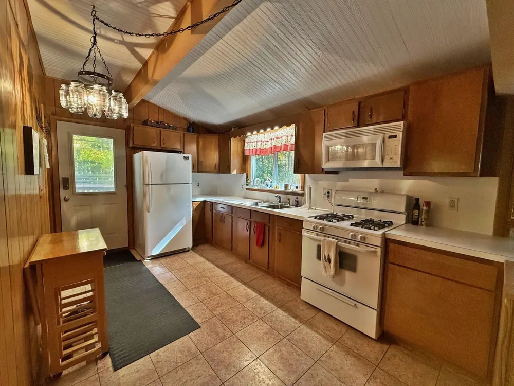 11167 Birwood Drive Canadian Lakes, MI 49346