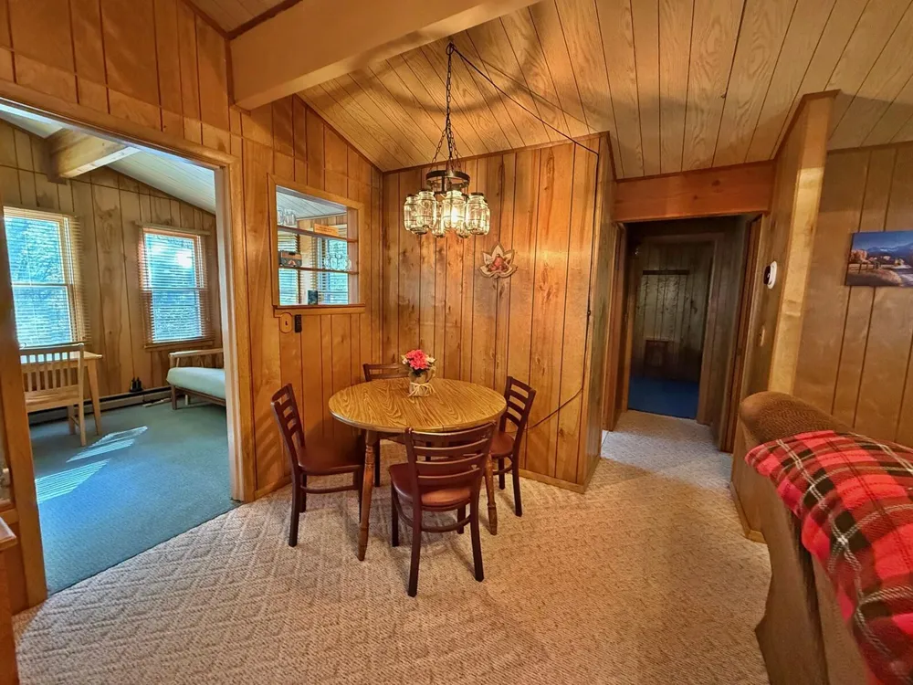 11167 Birwood Drive Canadian Lakes, MI 49346