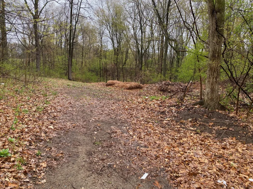 4546 W Dickman Road Springfield, MI 49037