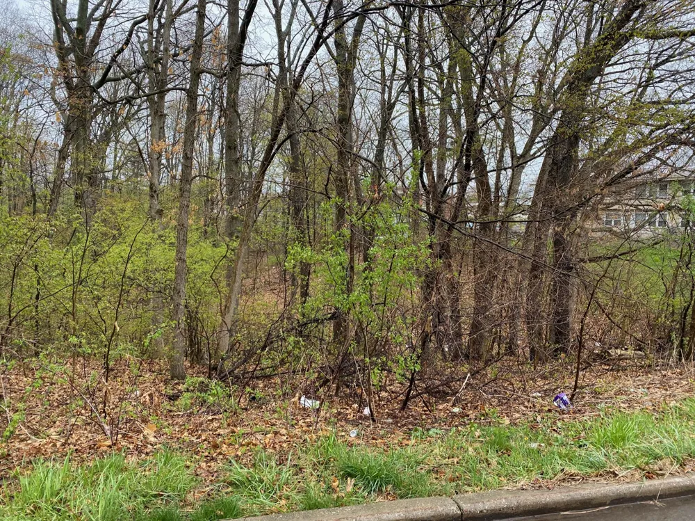 4546 W Dickman Road Springfield, MI 49037