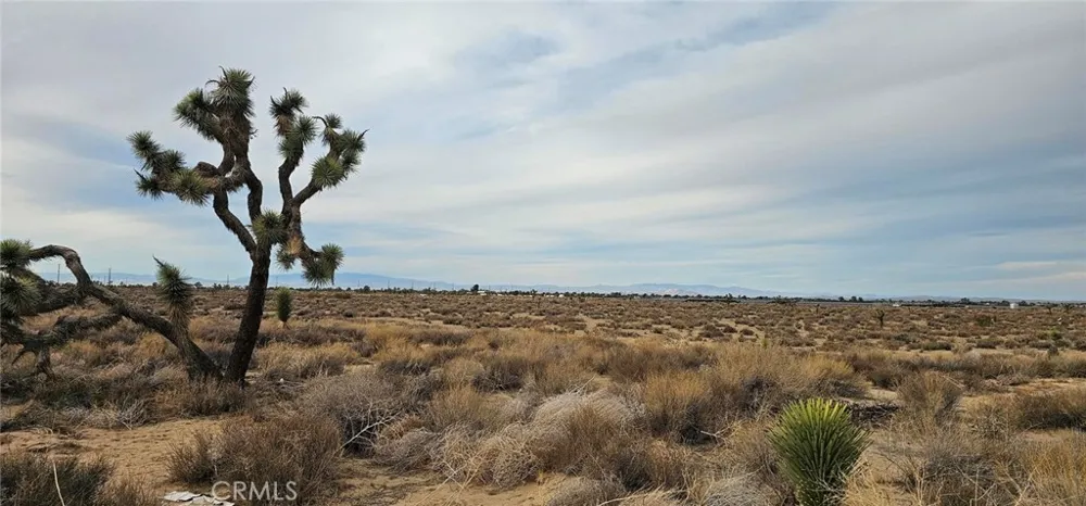 Avenue L4 / 23rd St E