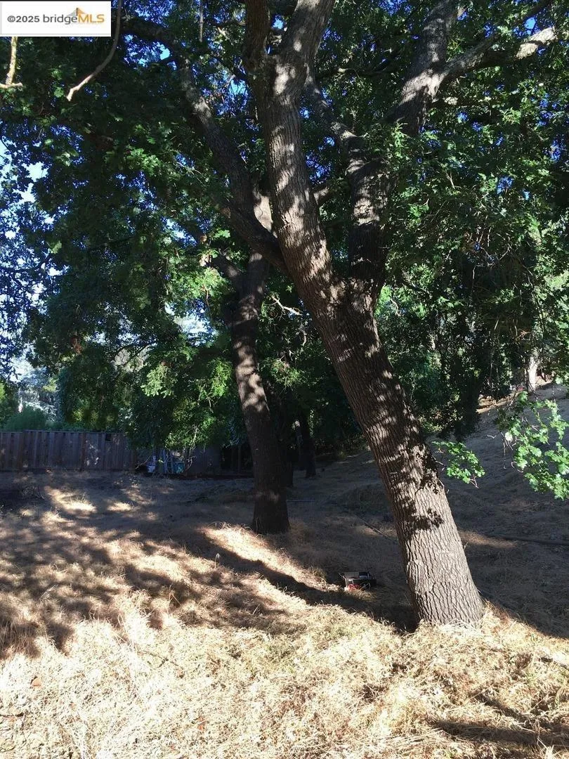1032 Millbrook CT Walnut Creek, CA 94598