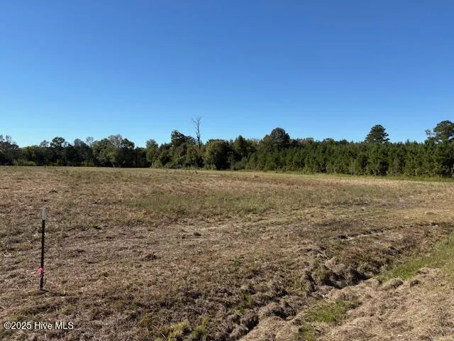 Vidalia 3 County Home Road Ayden, NC 28513