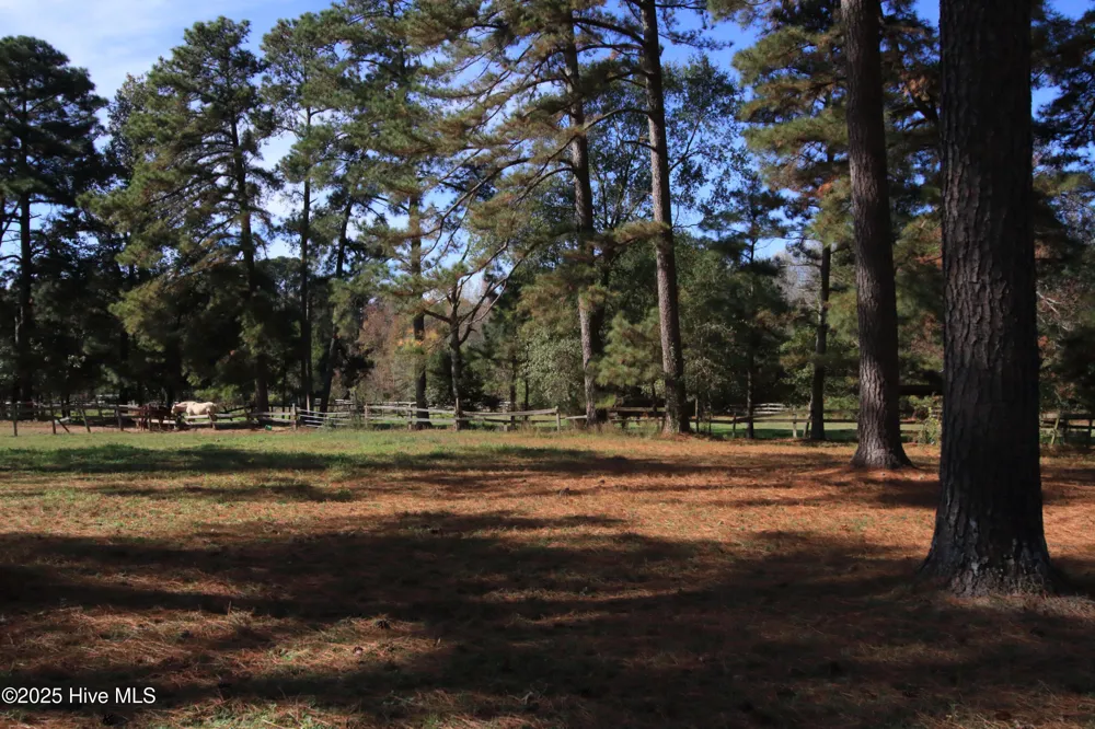 0 Cedar Lane Road Sanford, NC 27332