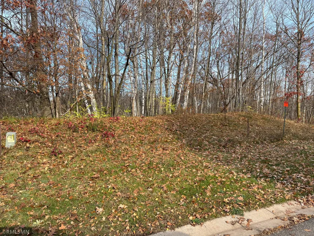LOT 8 Wilderness Hills Lane Luck, WI 54853