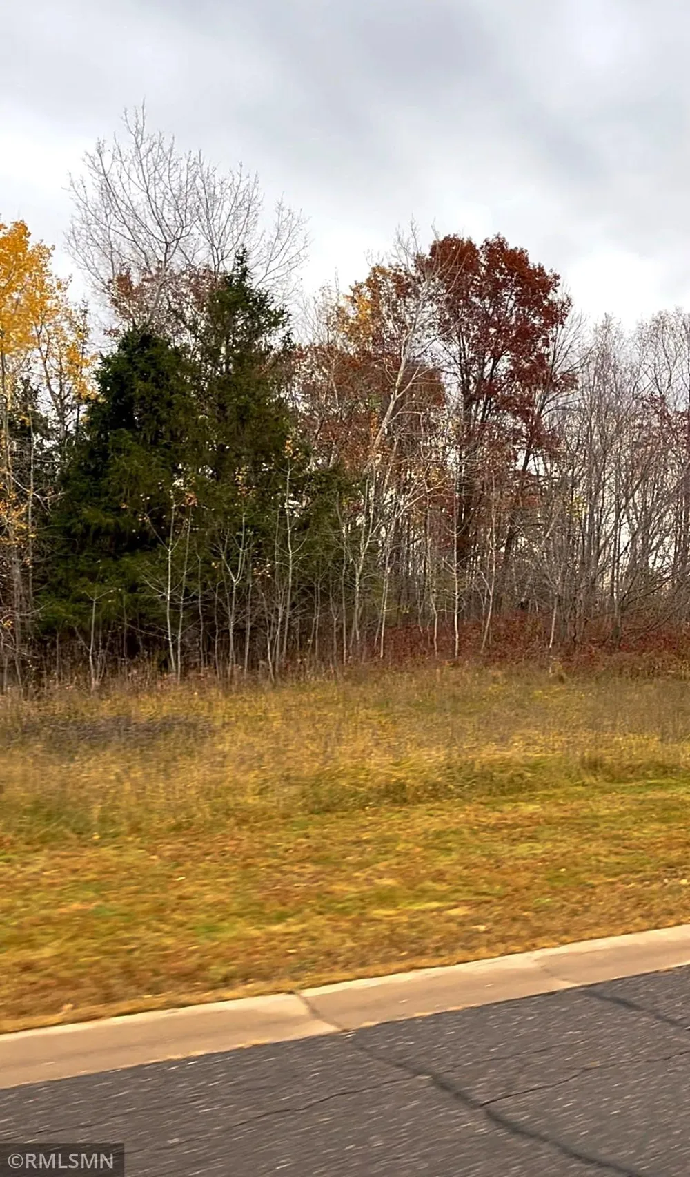 LOT 8 Wilderness Hills Lane Luck, WI 54853