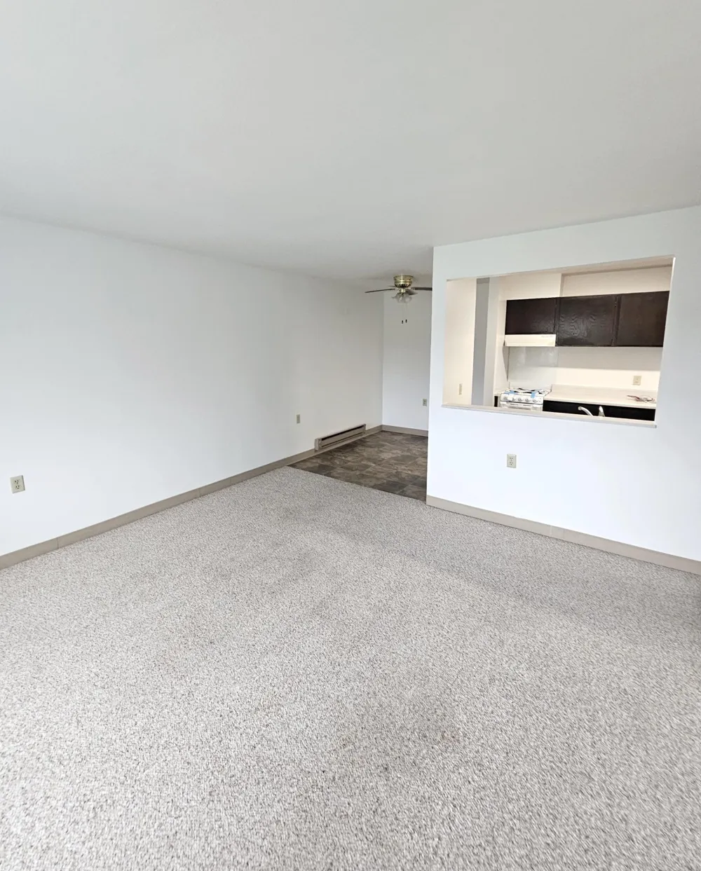 306 S East Street Caledonia, MN 55921