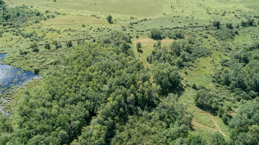 TBD 310th Avenue Brook Park, MN 55007