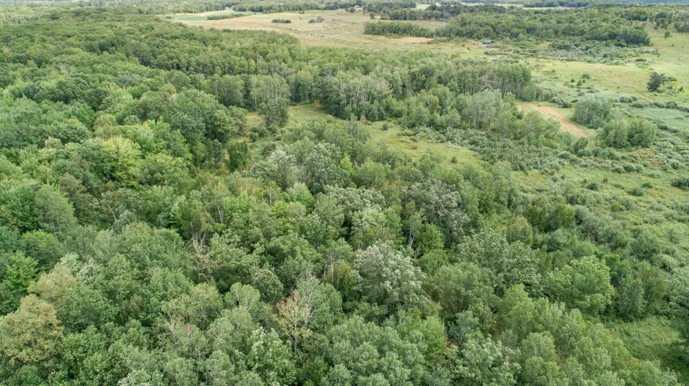 TBD 310th Avenue Brook Park, MN 55007