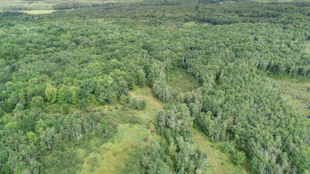 TBD 310th Avenue Brook Park, MN 55007