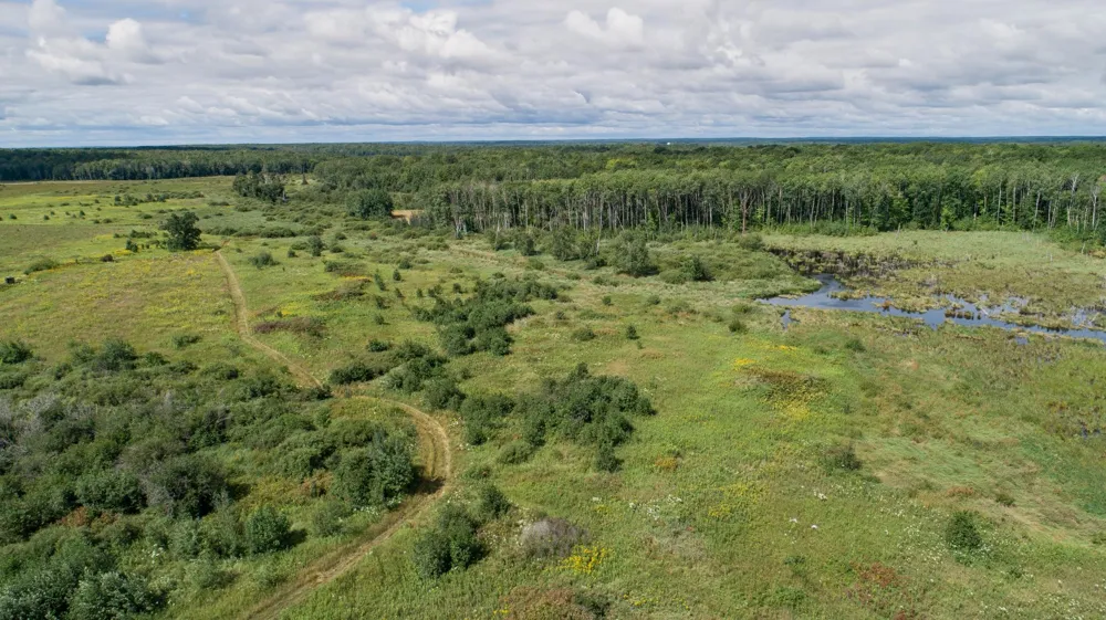 TBD 310th Avenue Brook Park, MN 55007