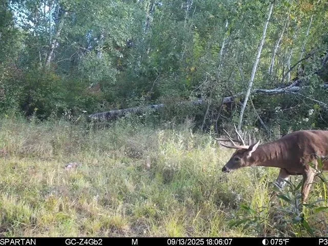 TBD 310th Avenue Brook Park, MN 55007