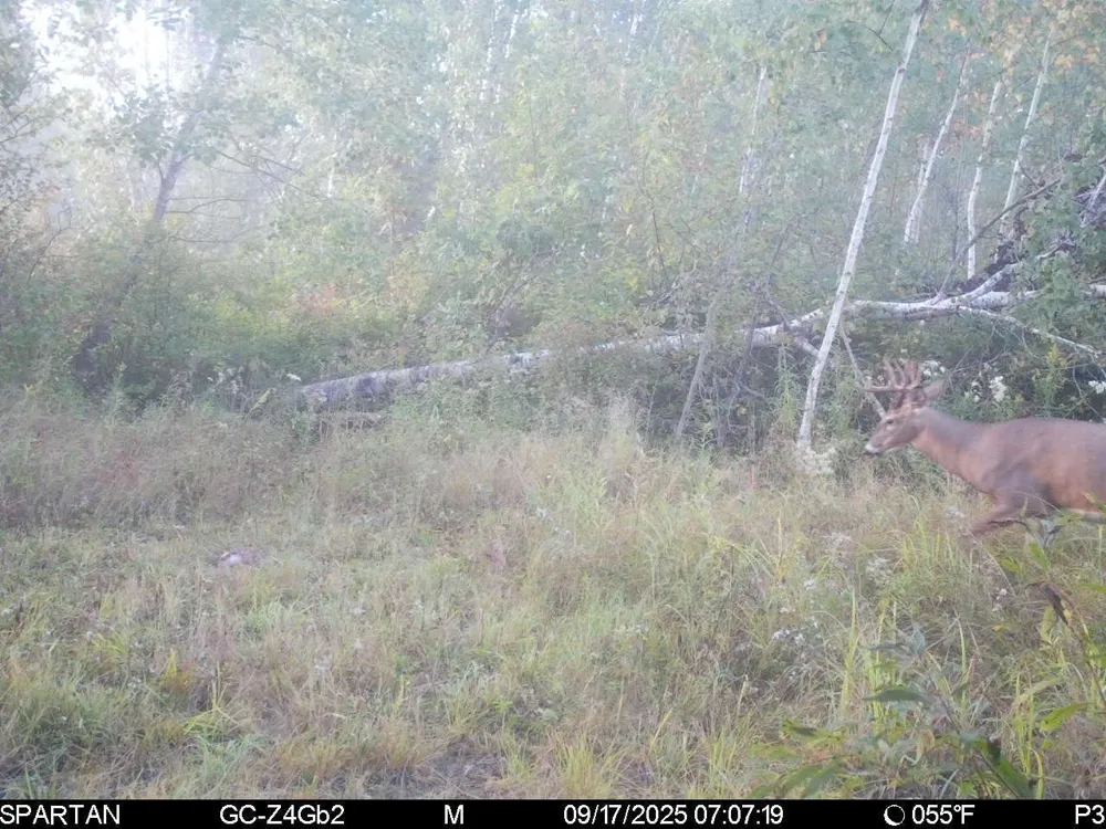 TBD 310th Avenue Brook Park, MN 55007