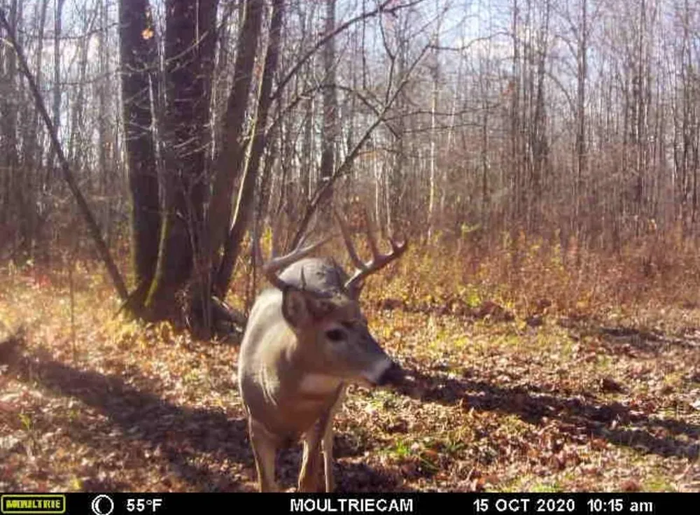 TBD 310th Avenue Brook Park, MN 55007