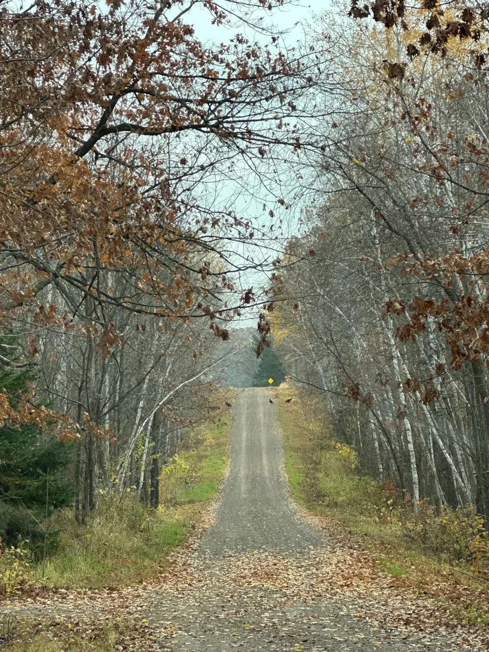 TBD 310th Avenue Brook Park, MN 55007