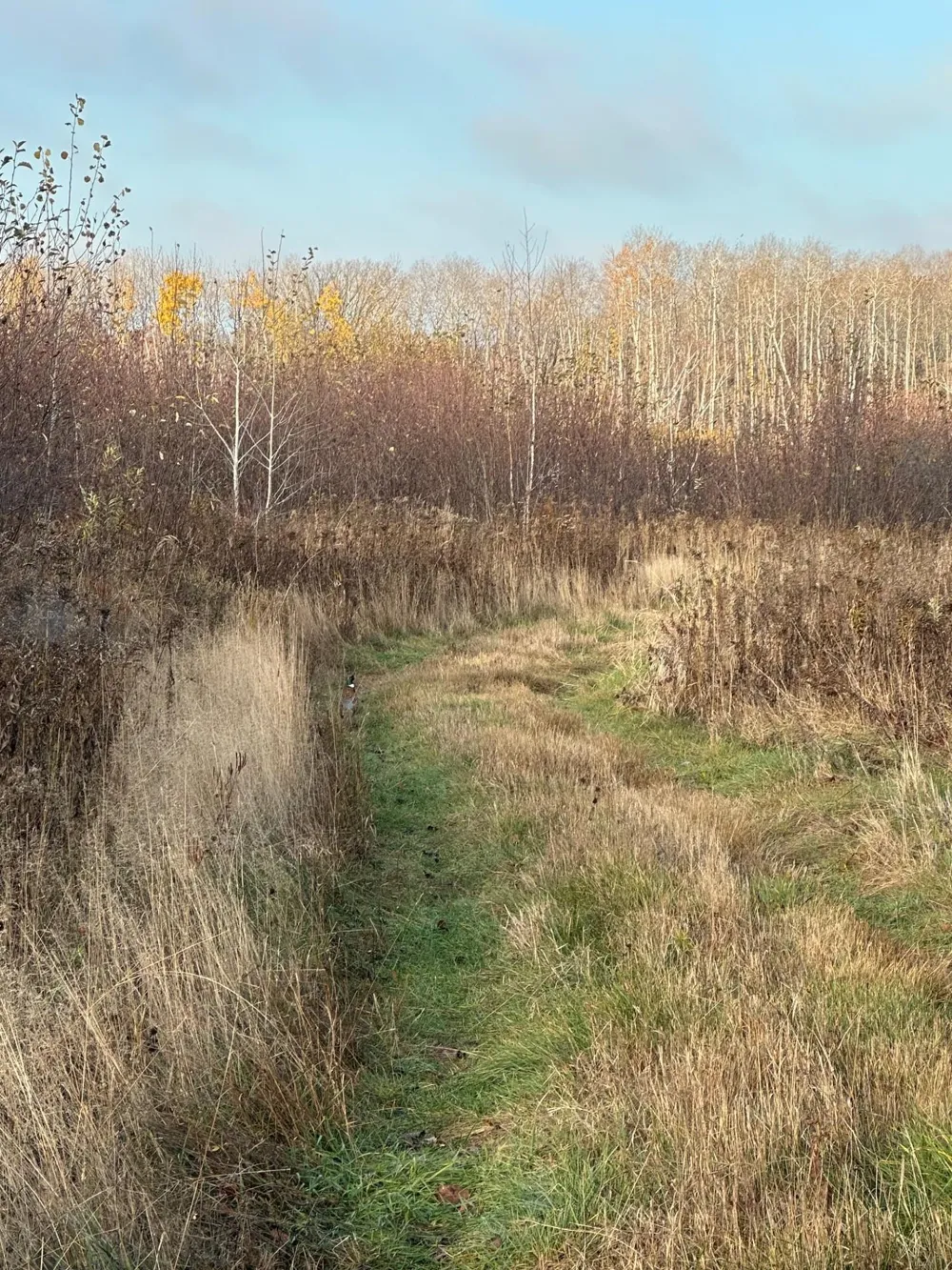 TBD 310th Avenue Brook Park, MN 55007