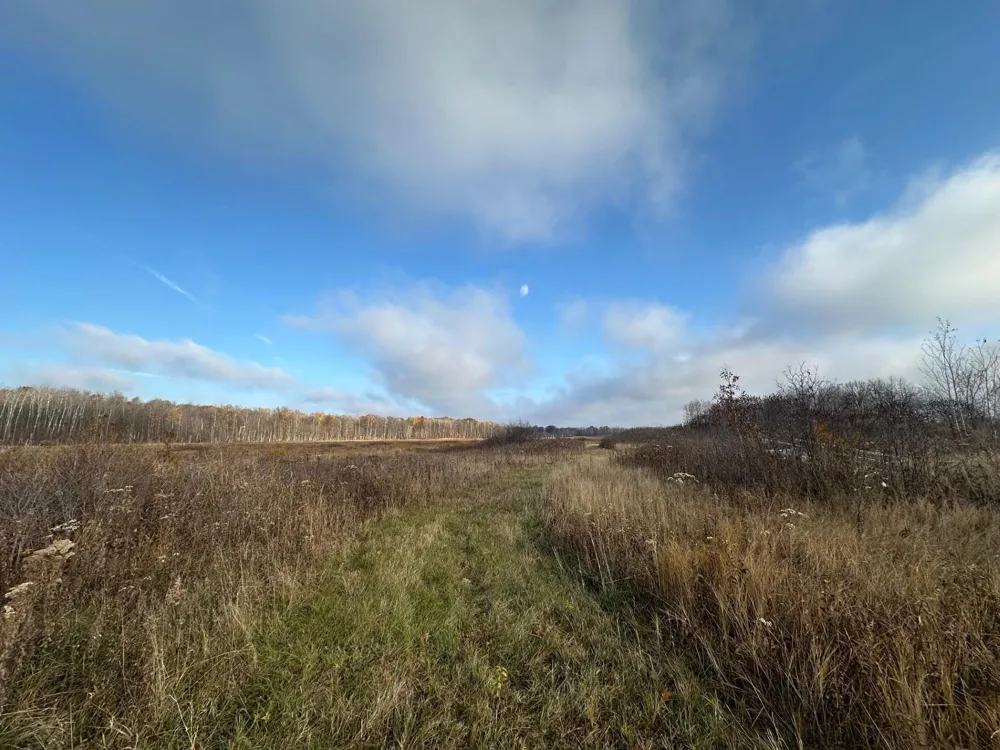 TBD 310th Avenue Brook Park, MN 55007