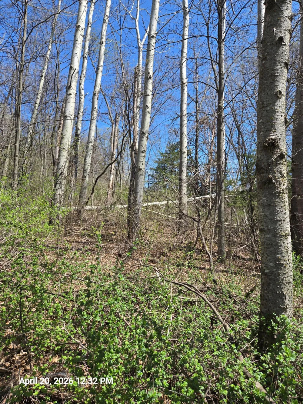 315 Oak Drive NW Preston, MN 55965