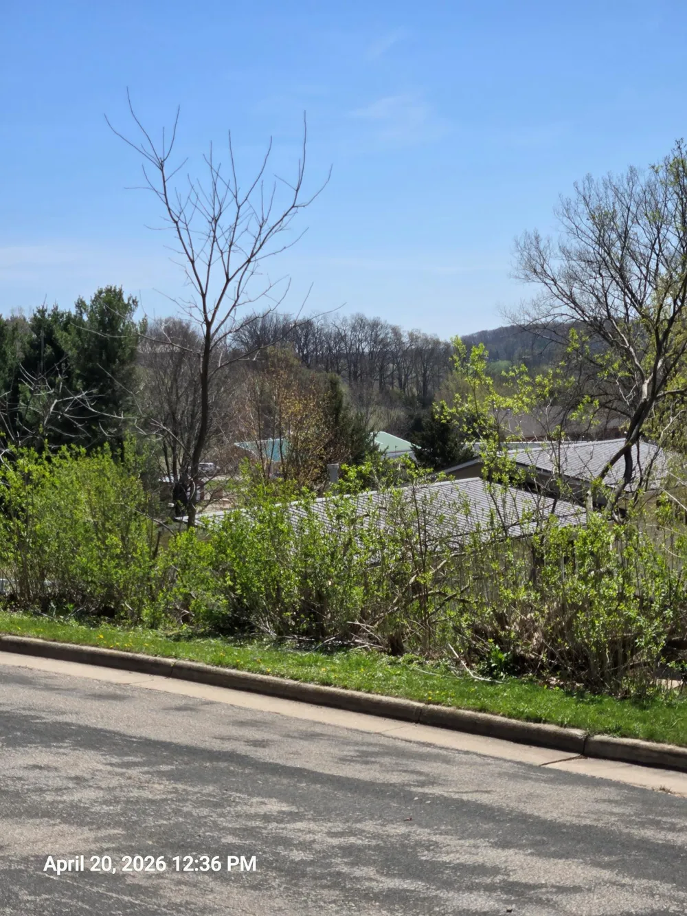 315 Oak Drive NW Preston, MN 55965