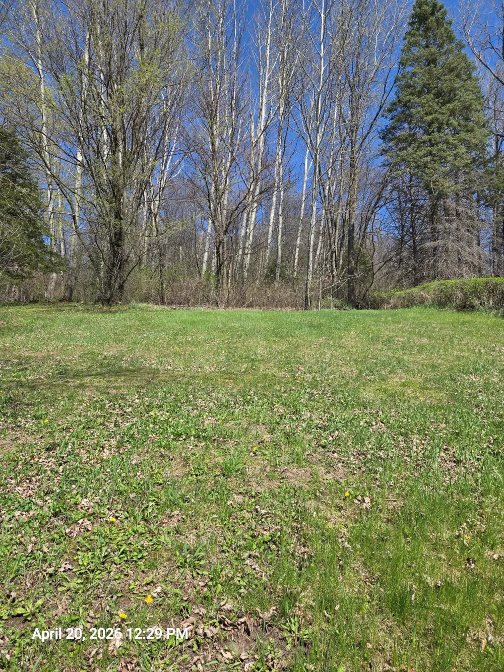 315 Oak Drive NW Preston, MN 55965