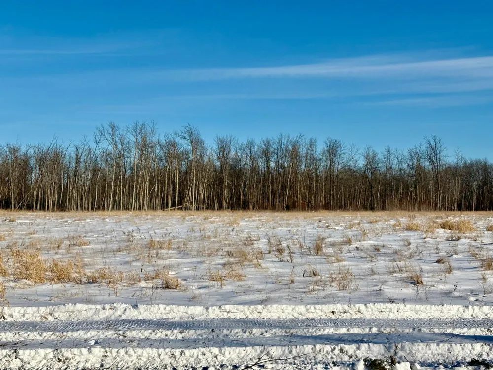 970 County Road 89 Baudette, MN 56623