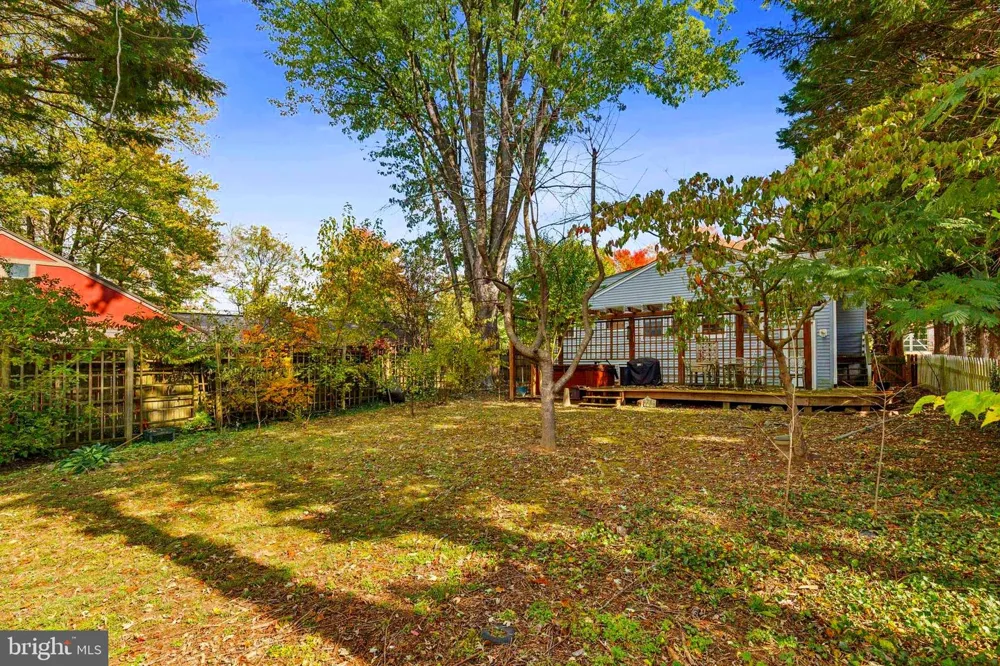 208 CHESTNUT STREET Middleburg, VA 20117