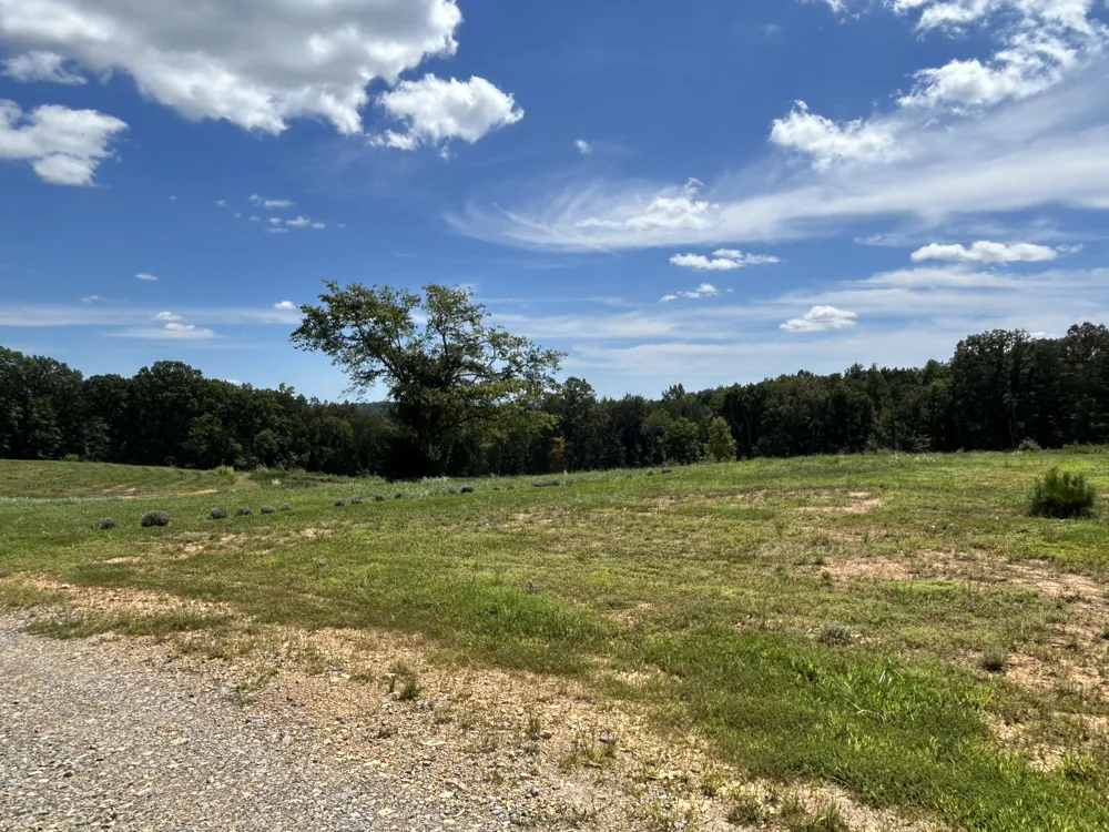 353 Co Rd 170 Athens, TN 37303