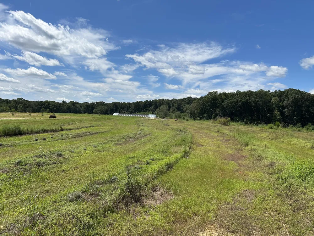 353 Co Rd 170 Athens, TN 37303