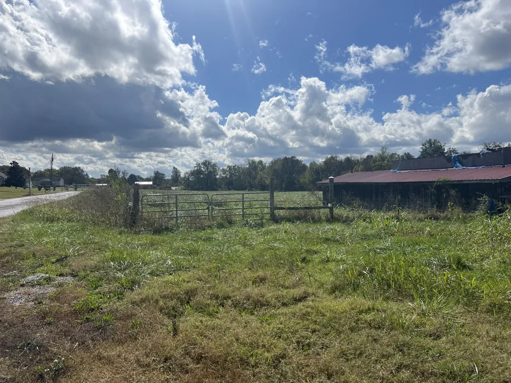0 Bell Buckle Wartrace Rd Wartrace, TN 37183
