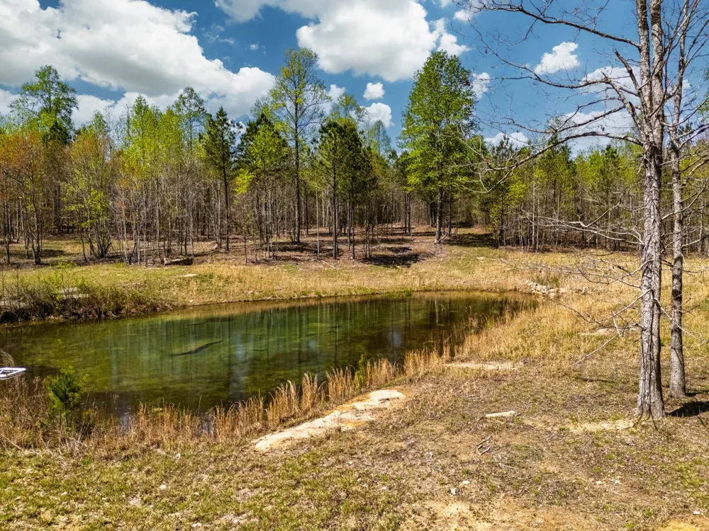 0 Raulston Falls Rd Jasper, TN 37347