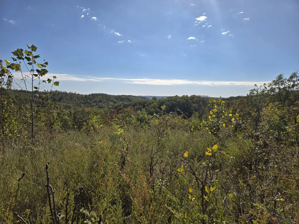 0 Vista Ridge Stewart, TN 37175