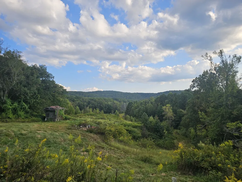 1077 Rock Ave Palmer, TN 37365
